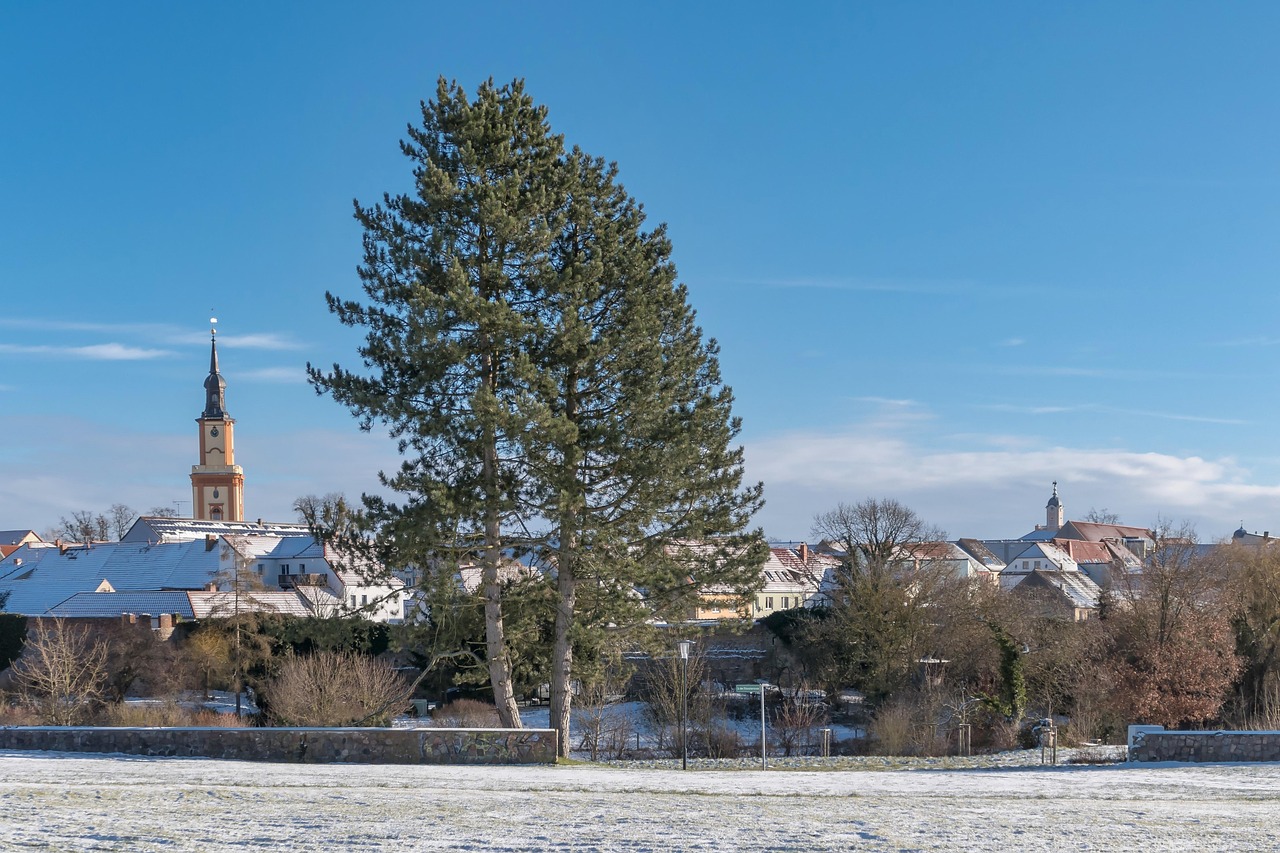 Mission Space at Disney World: An Out-of-This-World Adventure