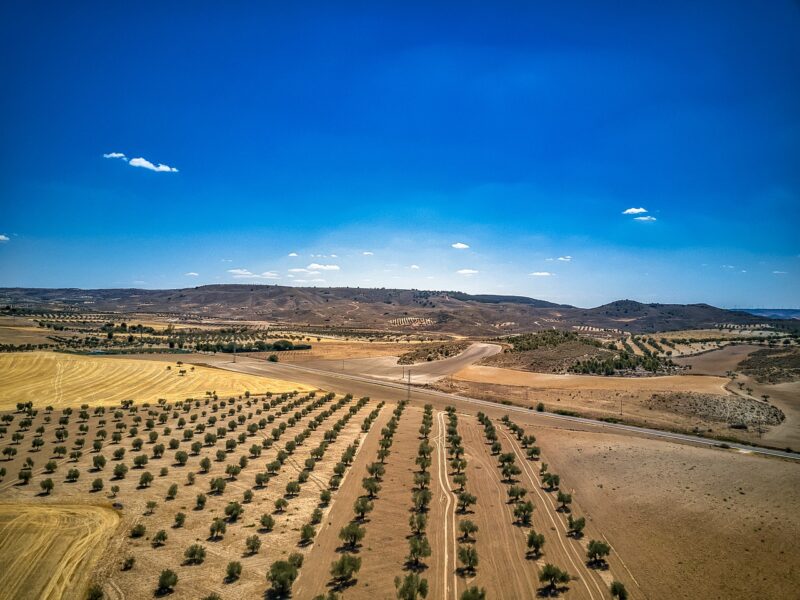 Epcot Holiday Festival Guide: Experience the Magic of the Season at Disney World