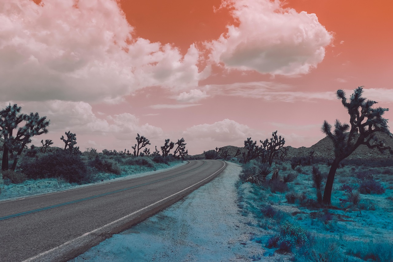 Epcot World Showcase Guide: Exploring the Globe at