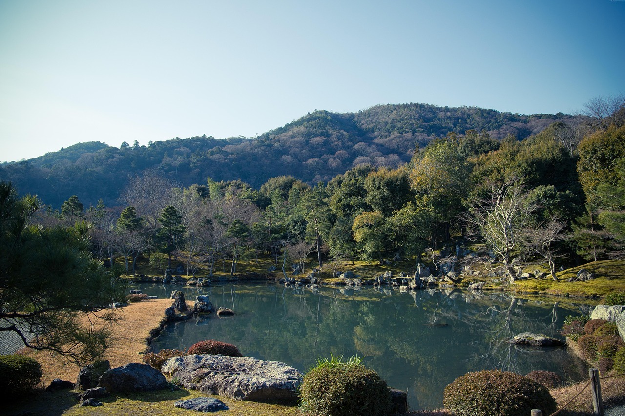 Epcot International Festival of the Arts: A Celebration of Creativity and Wonder