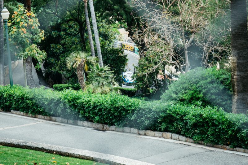 Mastering Disney Park Hopping: Ultimate Strategies for an Unforgettable Day at Disney World