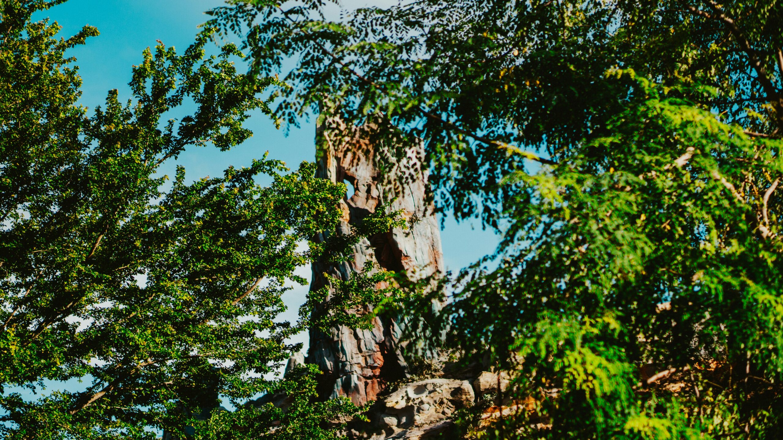 Disney Genie+ and Lightning Lane: The Ultimate Guide for Disney World Magic Nation Visitors